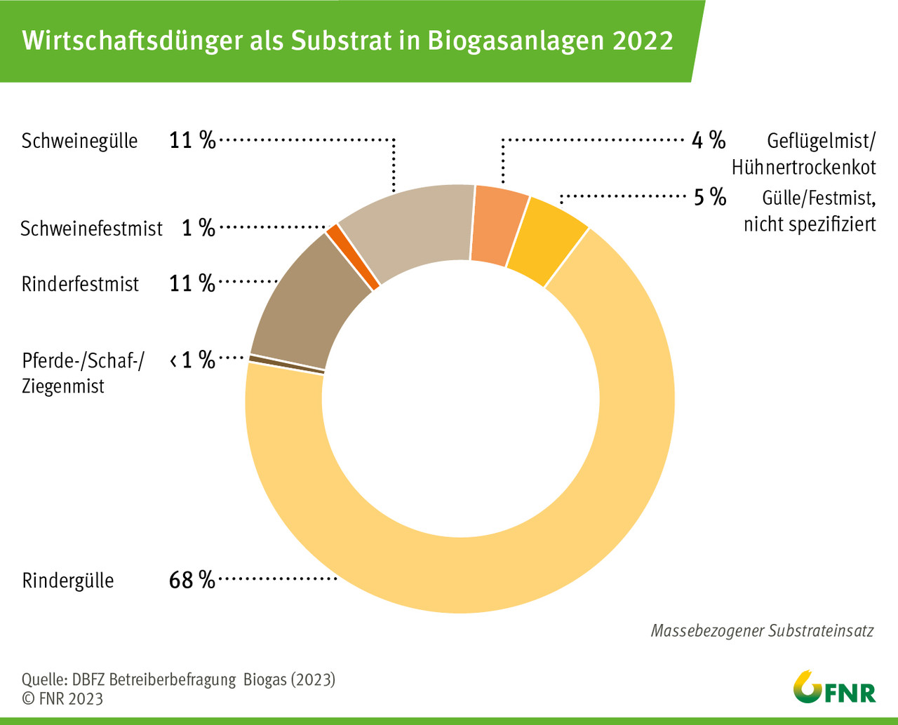 Wirtschaftsdünger als Substrat in Biogasanlagen 2022