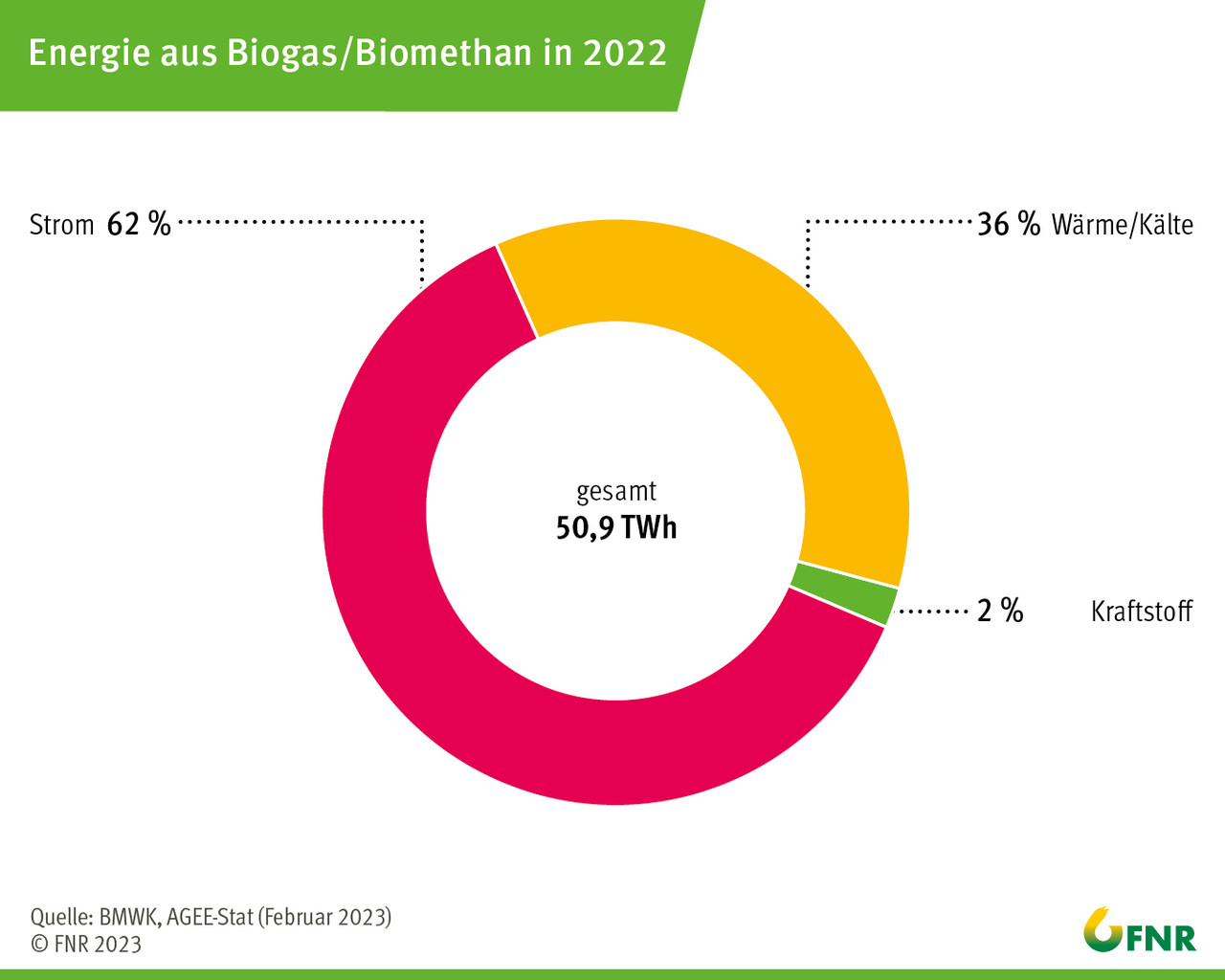 Energie aus Biogas/Biomethan in 2022