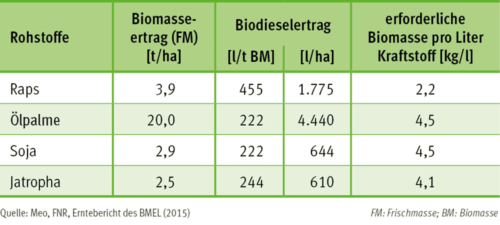 Biodiesel (Rohstoffe zur Herstellung)